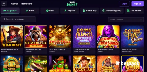 Winbeast Casino Interface